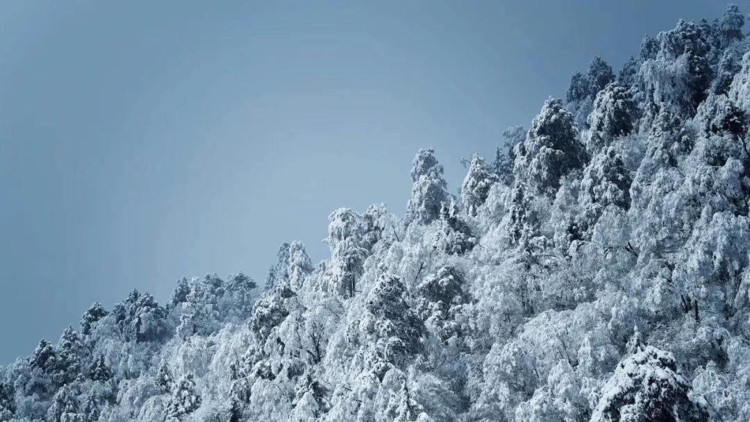 克洛普:不要再关注我离职的话题了,该说的都说了现在继续前进