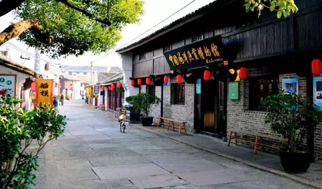 救援受困的鹭